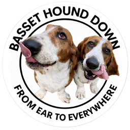 Basset Hound Down