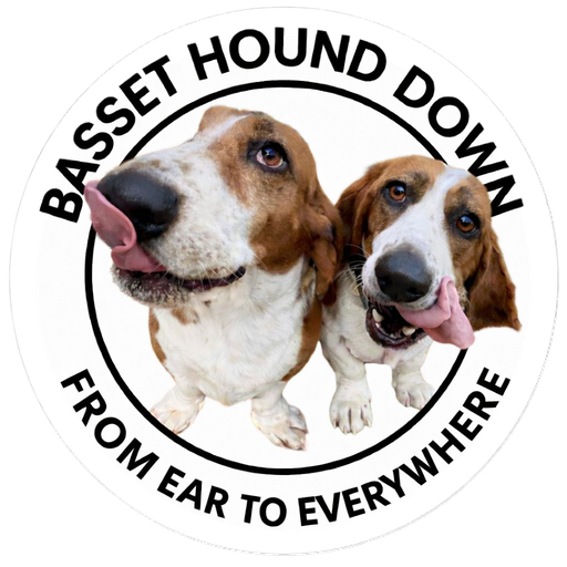 Frankie and Henrietta — Basset Hound Down